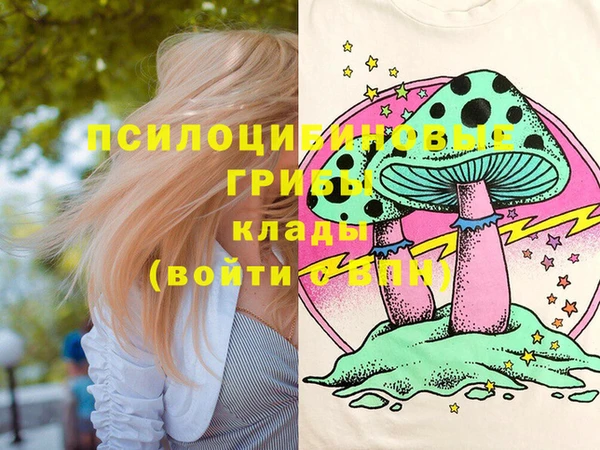 бошки Белокуриха