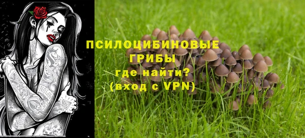 бошки Белокуриха