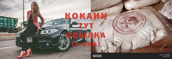прущие грибы Белоозёрский