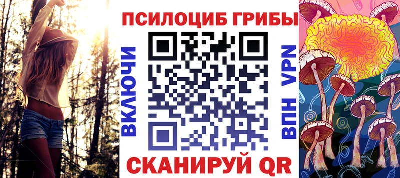 блэк спрут ссылка Павловская Псилоцибиновые грибы мицелий